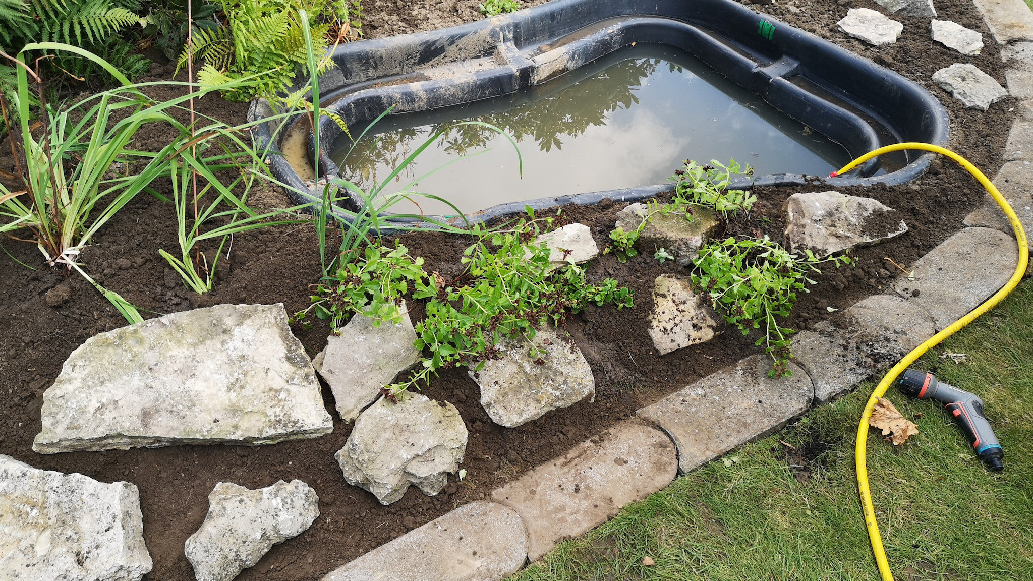 Schritt 4 F&uuml;llen und Bepflanzen